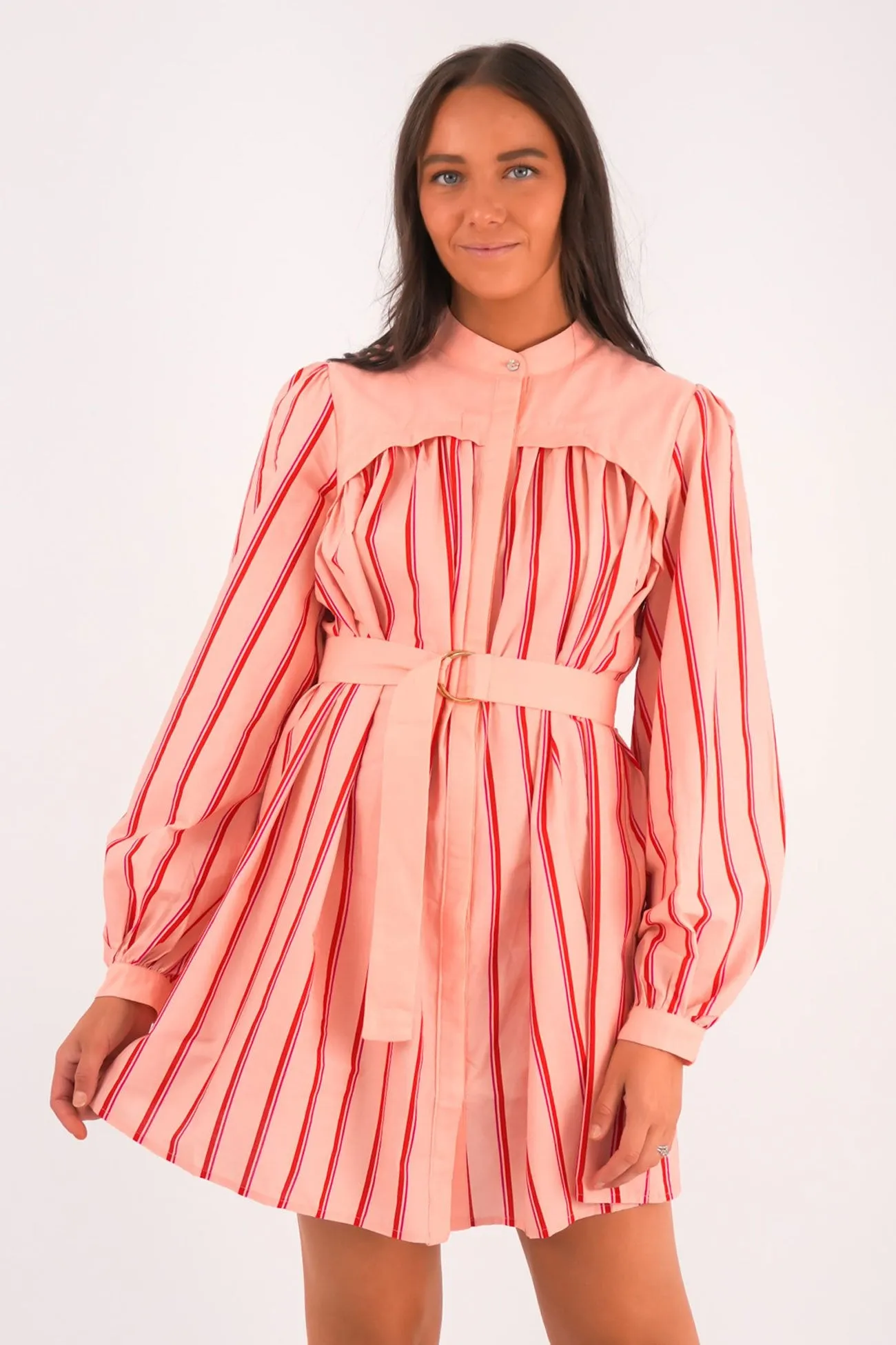 Elegant Comfort Mae Mini Dress Pink Stripe