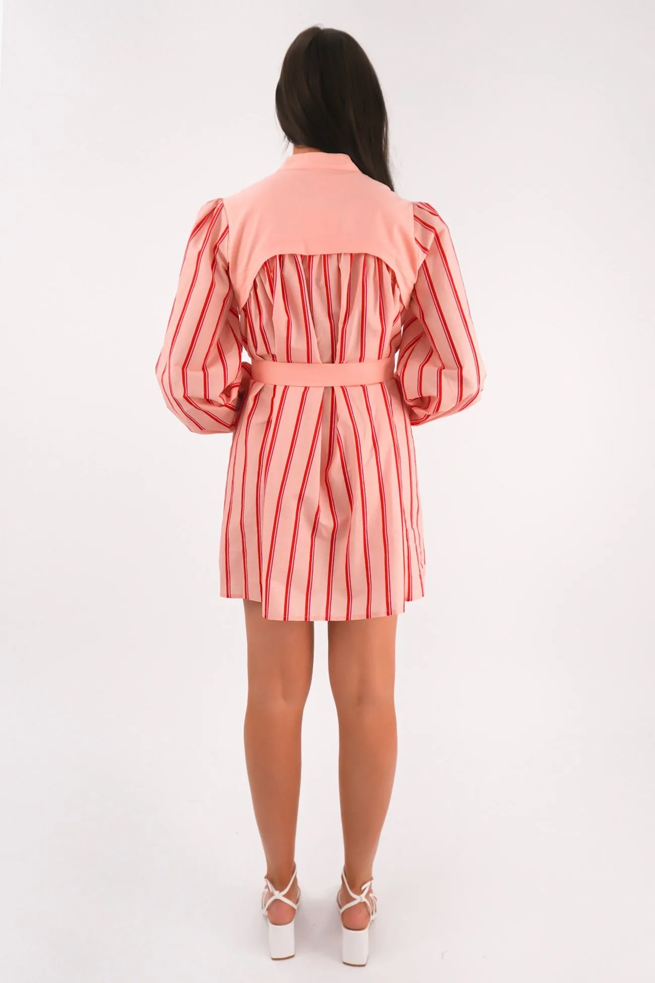 Chill Mode Earth-Tone Mae Mini Dress Pink Stripe