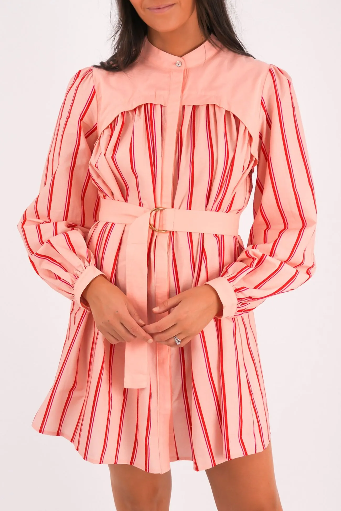 Sunset Scene Natural Tones Mae Mini Dress Pink Stripe