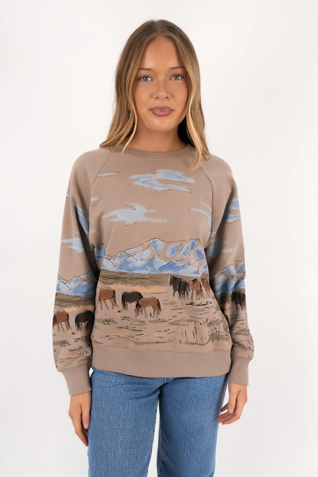 Wild Horses Box Raglan Crew Stone Low Impact Dye Hypoallergenic fabric