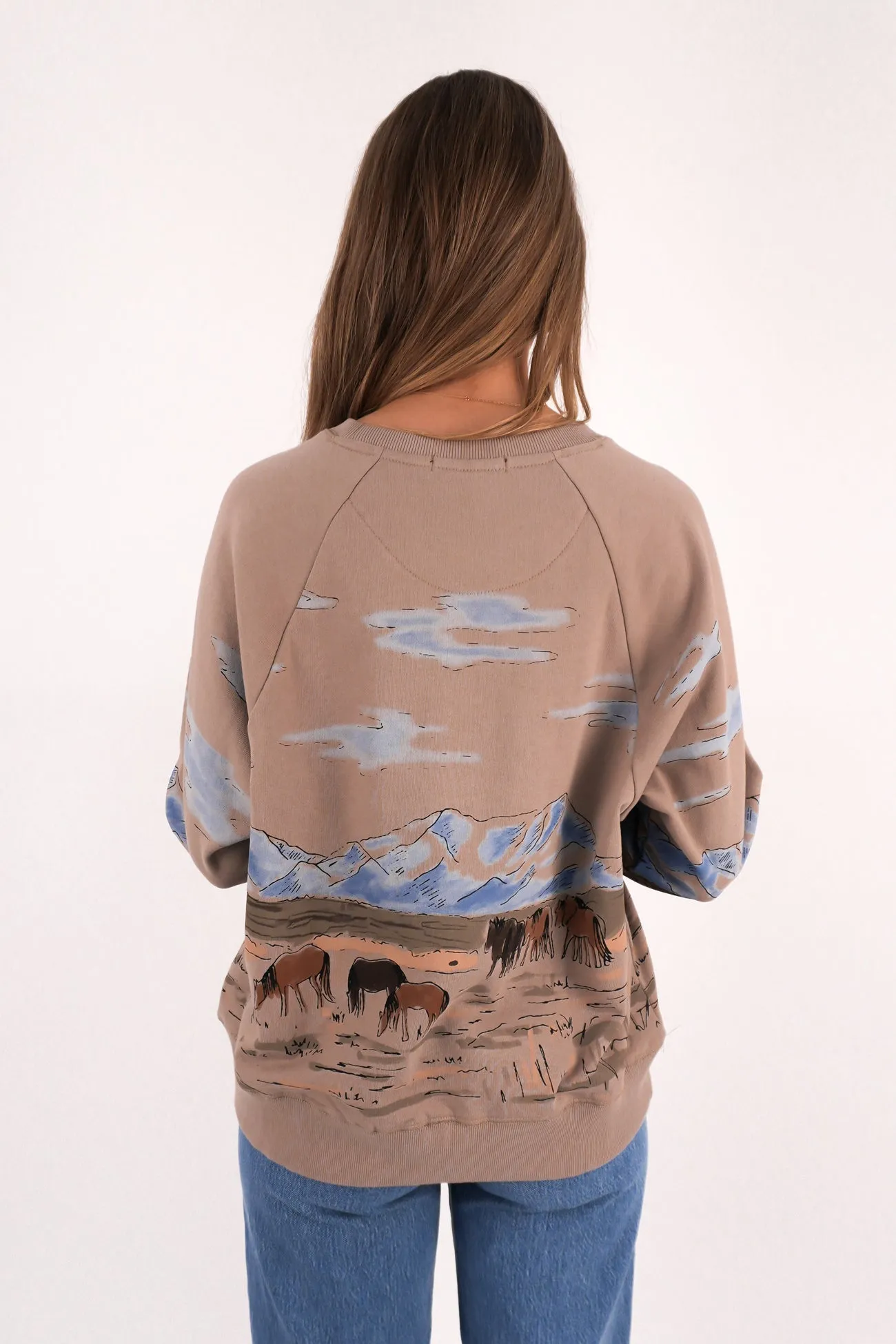 Pocket Reinforcement Wild Horses Box Raglan Crew Stone