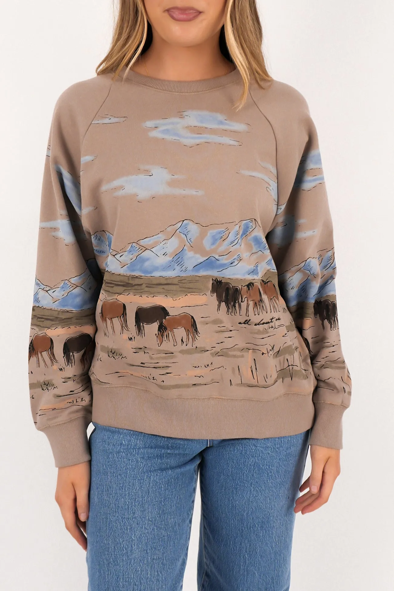 Wild Horses Box Raglan Crew Stone Modern Simplicity Casual Comfort Wear