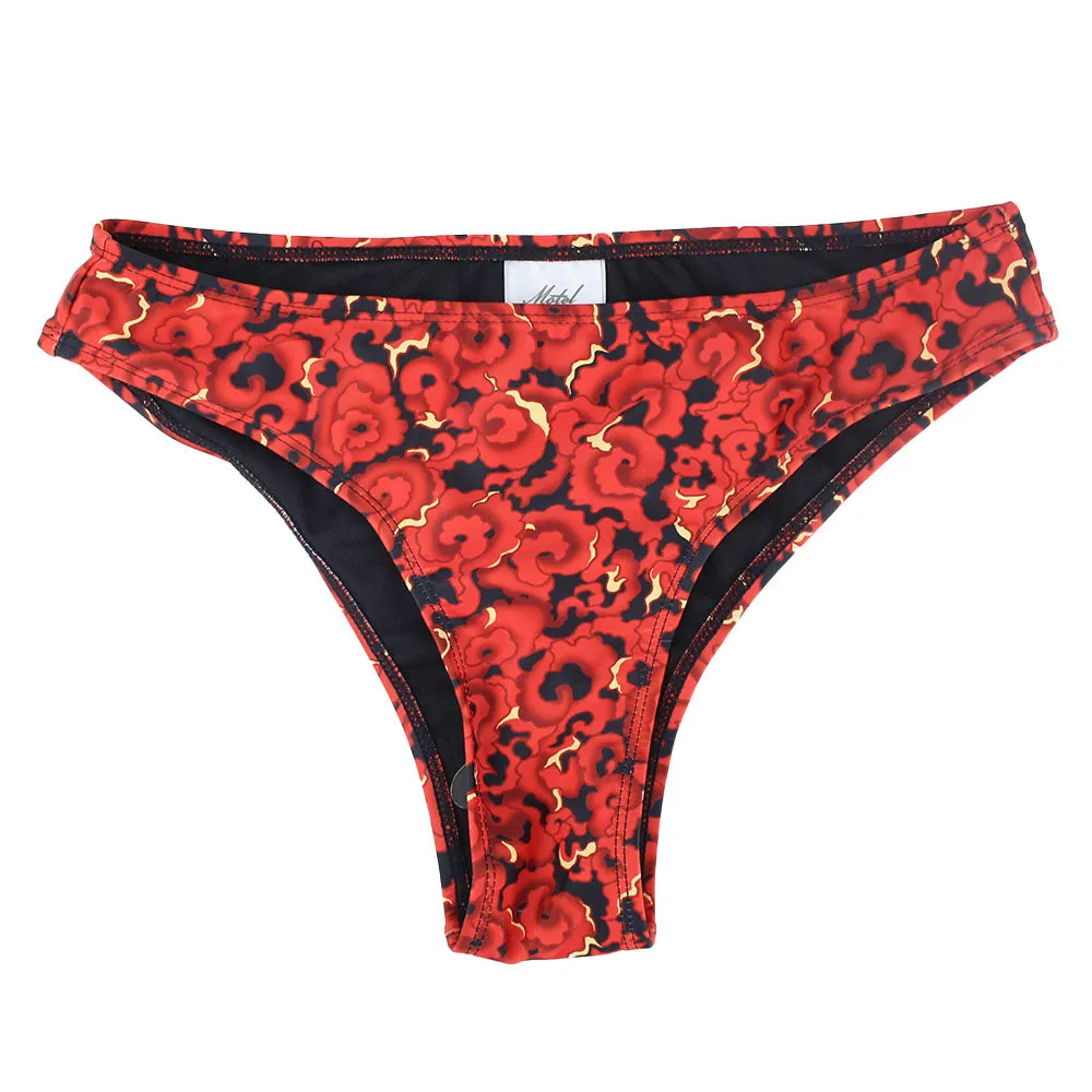 Women's Printed Bikini Bottom,Red HiddenZipperClosure Mature Charm